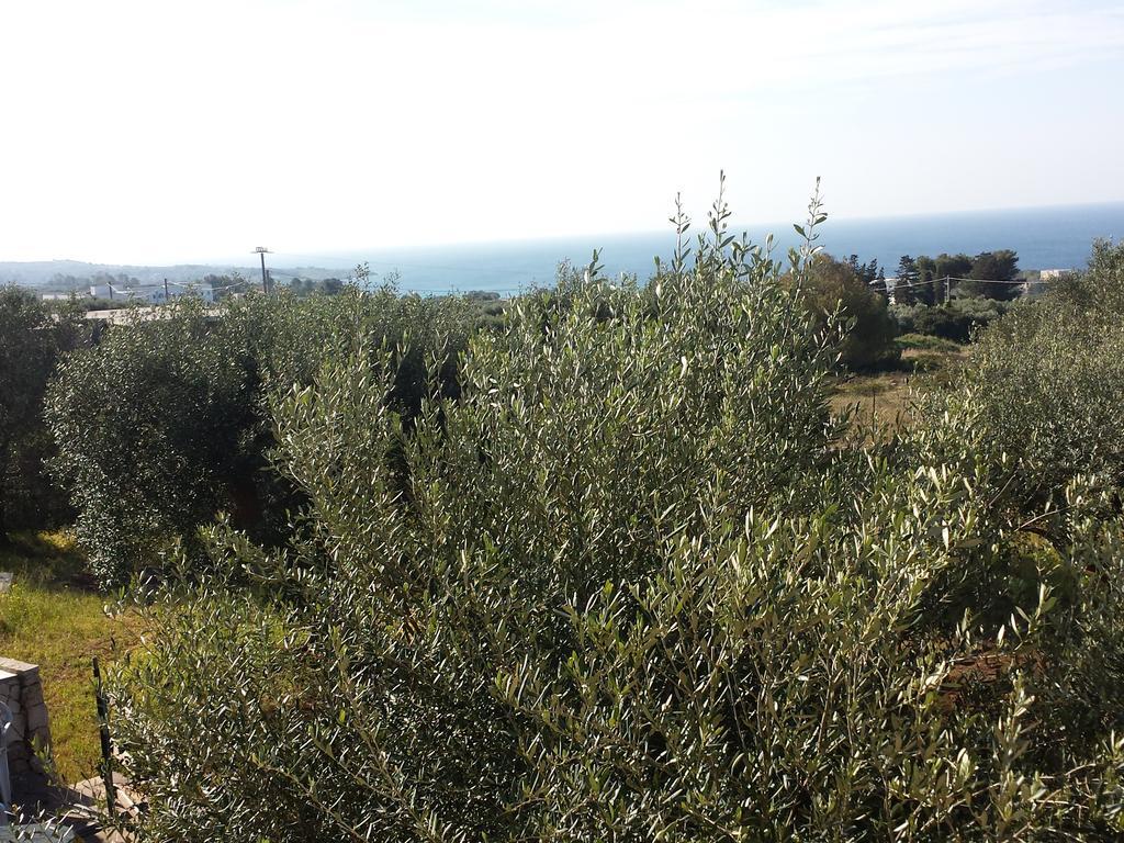 Villa Minteco Patù 外观 照片
